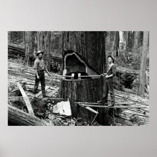 DEEP FOREST LUMBERJACKS c. 1890 Poster (Voorkant)