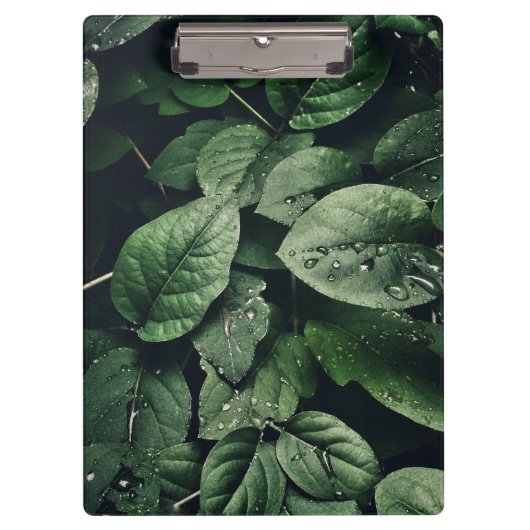 Deep Green Oerwoud Leaf Foliage Klembord (Voorkant)