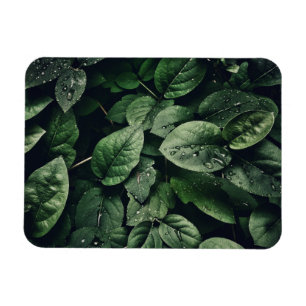 Deep Green Oerwoud Leaf Foliage Magneet