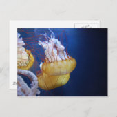 Deep Ocean Jelly Fish Briefkaart (Voorkant / Achterkant)