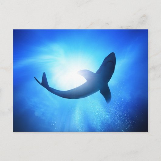 Deep Ocean Shark Silhouette Briefkaart (Voorkant)