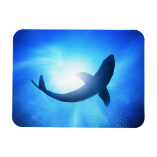 Deep Ocean Shark Silhouette Magneet