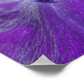 Deep Paars Bearded Iris Flower Petal Poster (Hoek)