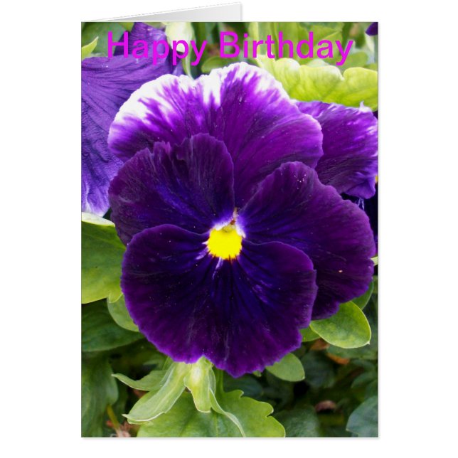 Deep Paars Pansy Birthday Card (Voorkant)
