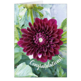 Deep Paarse Dahlia Flower Gefeliciteerd Kaart