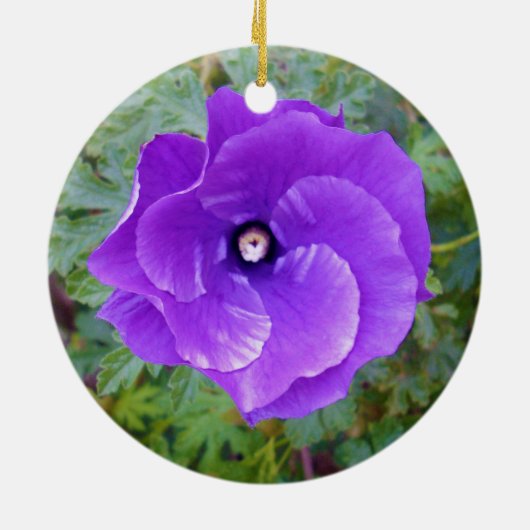 Deep Paarse Hibiscus Flower, Keramisch Ornament (Achterkant)