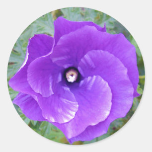 Deep Paarse Hibiscus Flower, Ronde Sticker