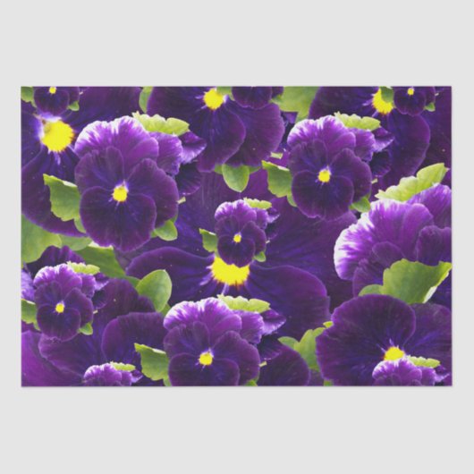 Deep Paarse Pansy Clusters: majestueuze schoonheid Tissuepapier (Voorkant)
