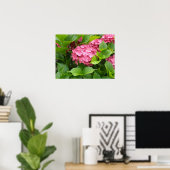 Deep Pink Hydrangea Blooms Poster (Thuiskantoor)