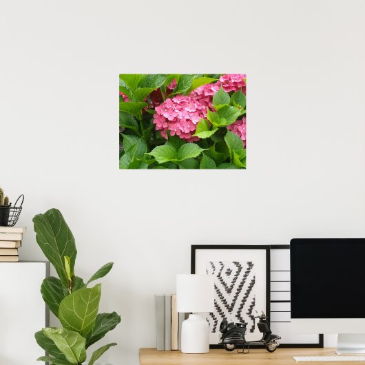 Deep Pink Hydrangea Blooms Poster (Thuiskantoor)