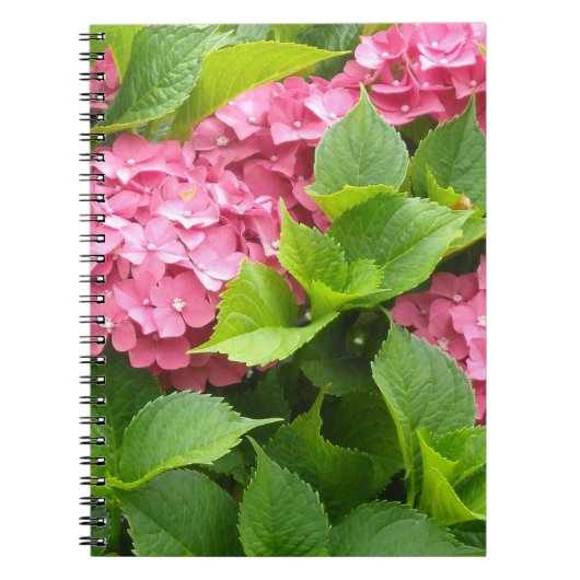 Deep Pink Hydrangeas Notitieboek (Voorkant)