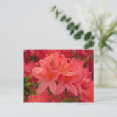Deep Pink Rhododendron Flowers Briefkaart (Staand voorkant)