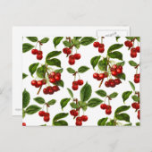 Deep Red Botanical Cherry Print Briefkaart (Voorkant / Achterkant)