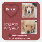 Deep Red Hemangiosarcoma Tribute Square Sticker (Voorkant)