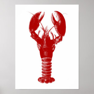 Deep Red Lobster op White Poster