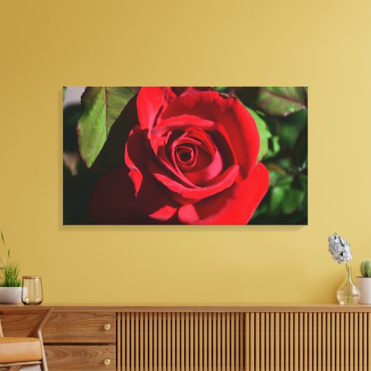 Deep Red Rose Canvas Afdruk (Insitu (Woonkamer))
