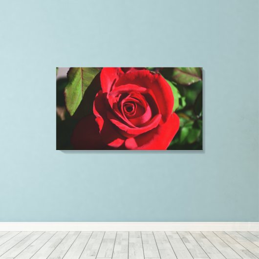 Deep Red Rose Canvas Afdruk (Insitu (Houten vloer))