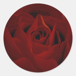 Deep Red Rose Sticker