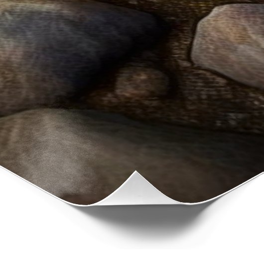 Deep Sea Urchin Perfect Poster (Hoek)