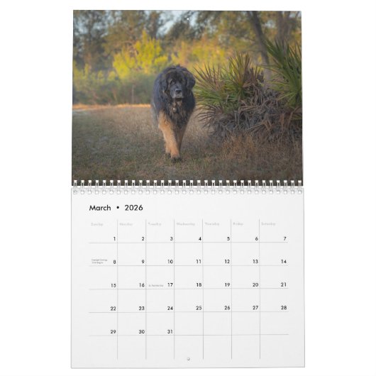 Deep South Leonberger Kalender (Mar 2026)