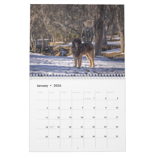 Deep South Leonberger Kalender (Jan 2026)
