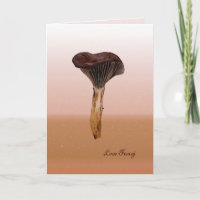 Deep Velvet Fungus (foto toevoegen aan de binnenka