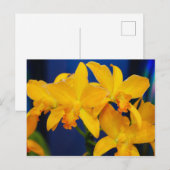 Deep Yellow Orchids Briefkaart (Voorkant / Achterkant)