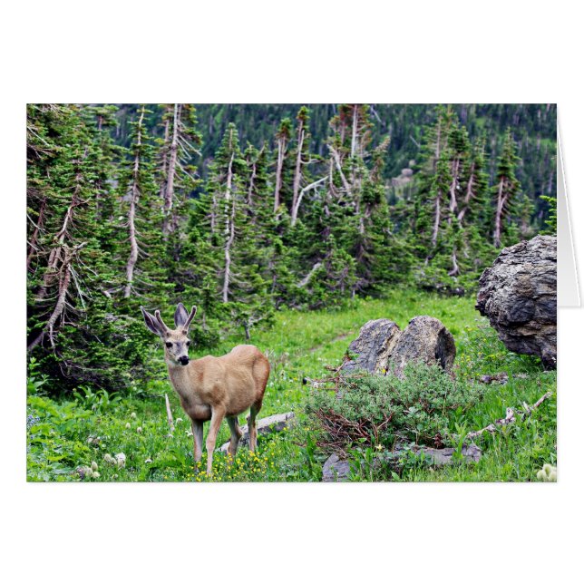 Deer (Voorkant Horizontaal)