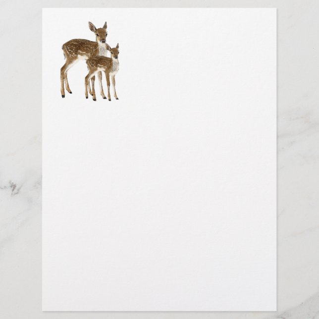 Deer (Voorkant)