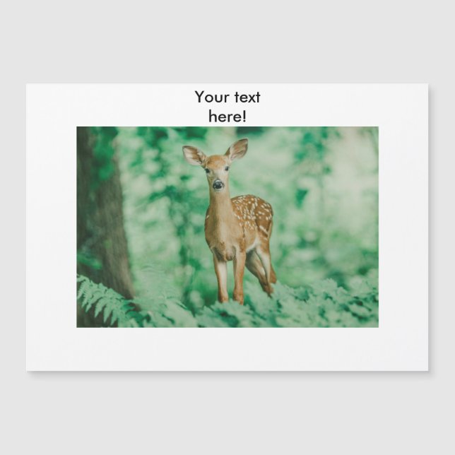Deer (Voorkant)