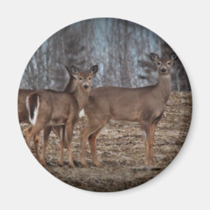 Deer_0338v Magneet