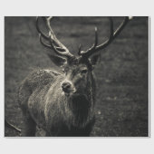 DEER 12 POINT BUCK CADEAUPAPIER (Vlak)