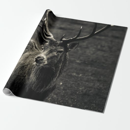 DEER 12 POINT BUCK CADEAUPAPIER (Uitgerold)