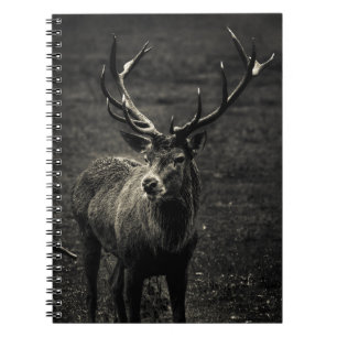 DEER 12-PUNT BUCK NOTITIEBOEK