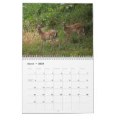 DEER 2010 KALENDER (Mar 2026)