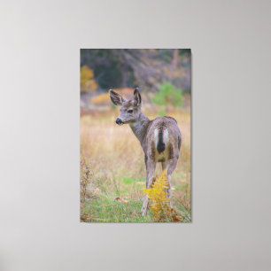 Deer 5, mama? canvas afdruk