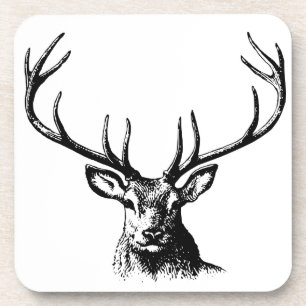 Deer Animal Antlers Natuur Wildlife Horns Head Pos Bier Onderzetter