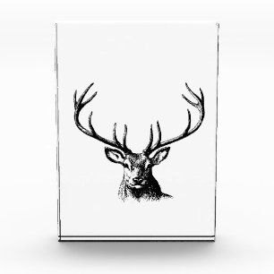 Deer Animal Antlers Natuur Wildlife Horns Head Pos Fotoblokken