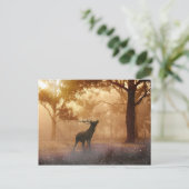 Deer Antler Meadow Briefkaart (Staand voorkant)