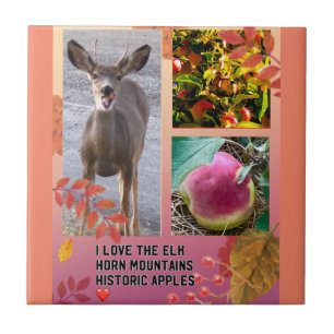 Deer Apple ❤️ Tegeltje