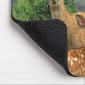 Deer art muismat (Hoek)