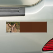 Deer Background-Bumpersticker Bumpersticker (Op auto)