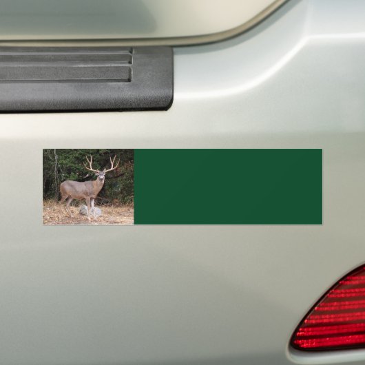 Deer Background-Bumpersticker Bumpersticker (Op auto)