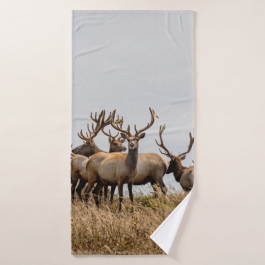 DEER BADHANDDOEK (Badhanddoek)