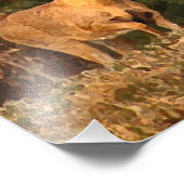 Deer bij Sunrise Foto Afdruk (Hoek)