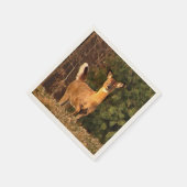 Deer bij Sunrise Servetten (Hoek)