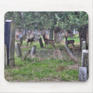 Deer bij Zentralfriedhof Muismat