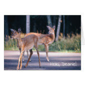 Deer, Bonjour Dearie (Devant Horizontal)