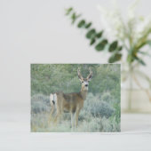 Deer Briefkaart (Staand voorkant)