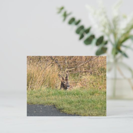 Deer Briefkaart (Staand voorkant)